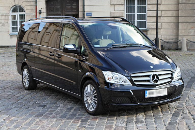 Mercedes Viano